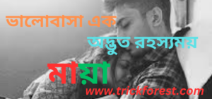 ভালোবাসার কষ্টের স্ট্যাটাস