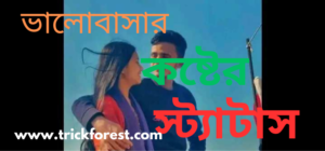 ভালোবাসার কষ্টের স্ট্যাটাস